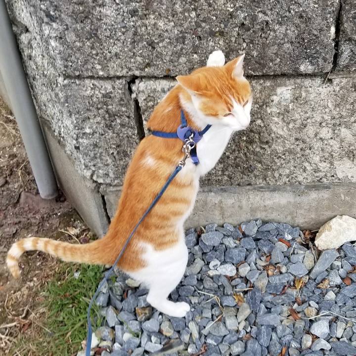 72eeb5b3 b857 4640 b76b 621bafb698d7 1521638369386