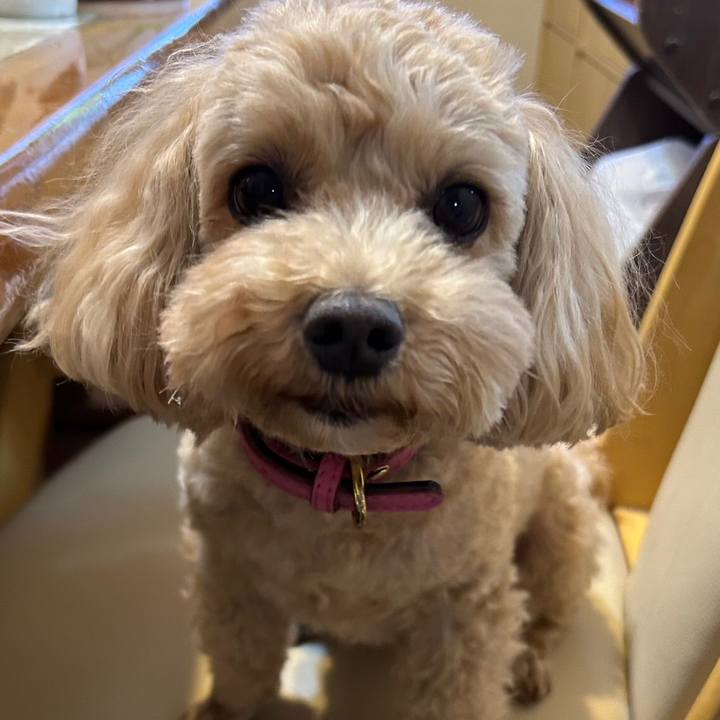 72eecd96 fb56 4447 92de e7498520a63d 1685039219402