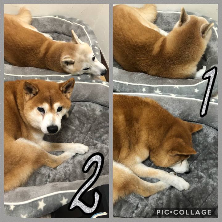 72eee060 1198 42b2 ab31 a6e1d07d03b8 1572303380156