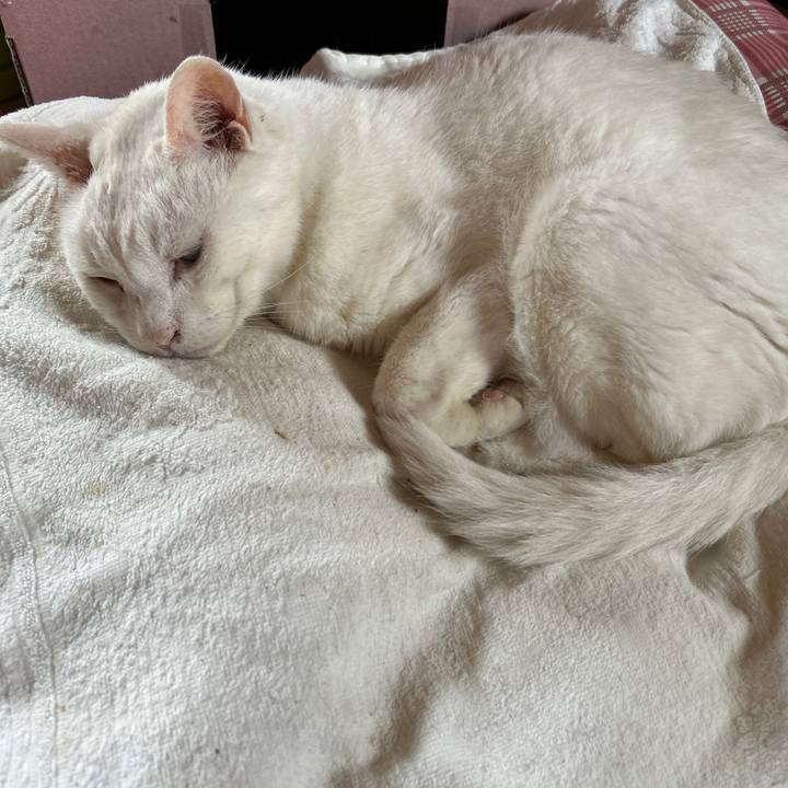 72eefec7 048f 4f74 ad93 1182f672be48 1694221157381