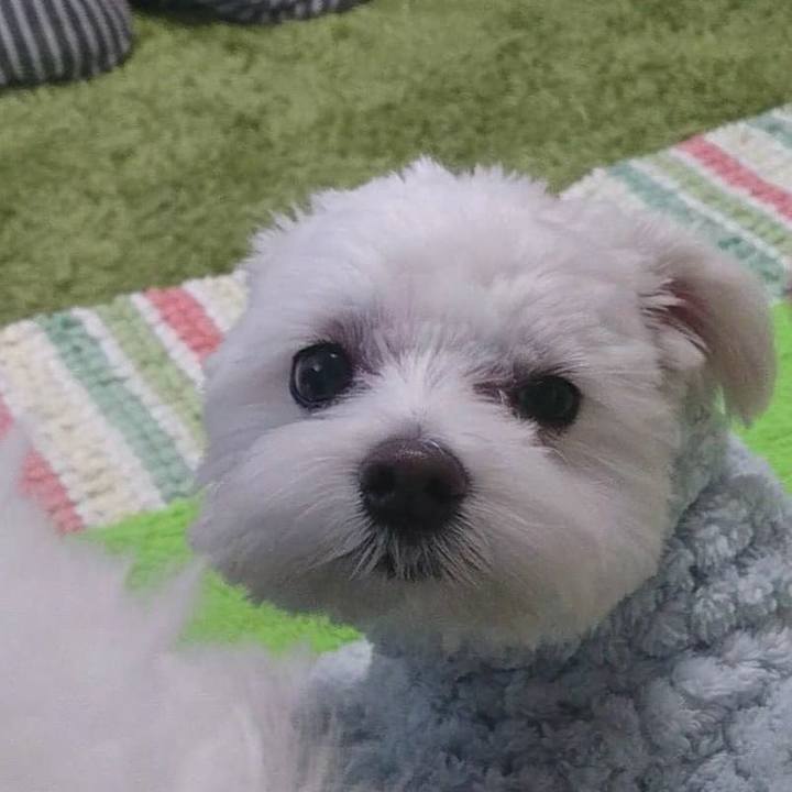 72ef0abe 4edd 4b96 9936 9c96ef6ca1a5 1519217245580