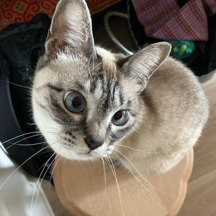 72ef432d 537a 48da a276 65cb7432f484 1680767573165