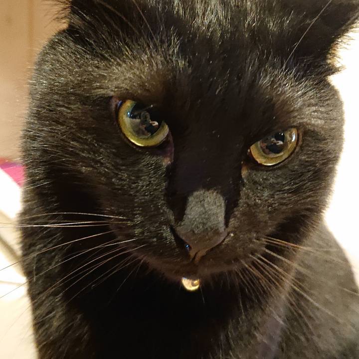 72ef4959 e672 4d81 896c f7d78db33568 1569382086999