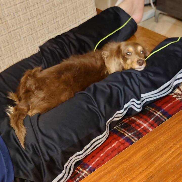 72efbdfa 3cbb 4747 8f71 07f9480dd679 1682597927653