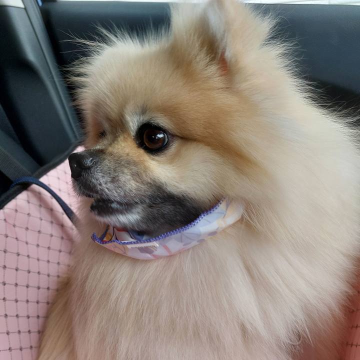 72efdba1 28f9 41a8 bca5 a9ae9ad409a6 1757139392103