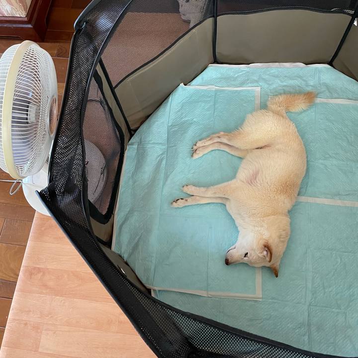 72efe477 ad48 4a96 a992 b791530a3812 1659753165169