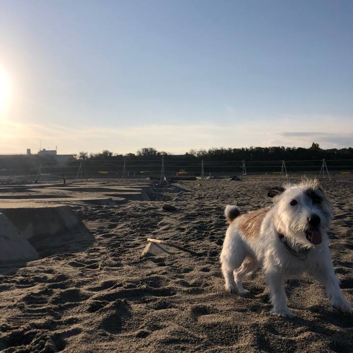 72efed1d f504 496a a6bd e7b4700cc2af 1603188197839