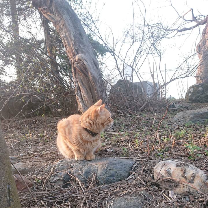 72f01c60 53c0 497b 88de 8fbf9053152a 1649798479636