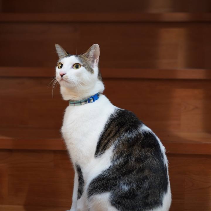 72f02ac5 ceb3 4462 8e74 ee88a3b5e132 1575812698538