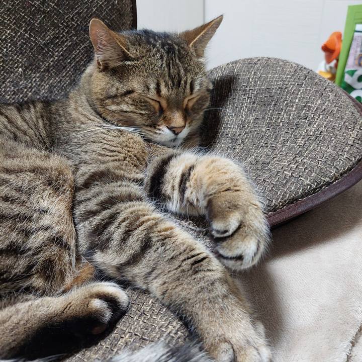 72f05486 0b26 4d91 84dc 45cee4eb7371 1741902683027