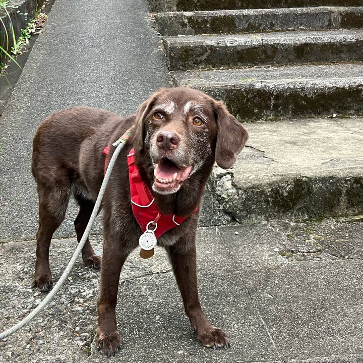 72f072c6 cb51 4f46 9fd1 db413afe631b 1760423407318