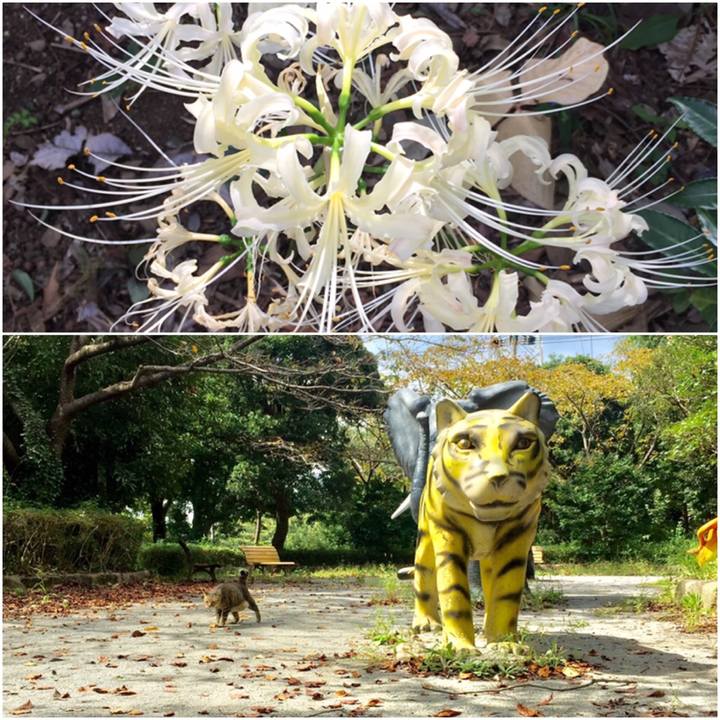 72f0cf90 fafc 43d2 bc30 c4fd37632469 1569748038543