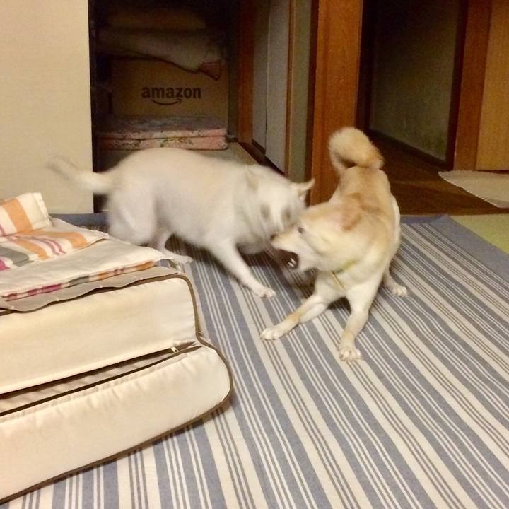 72f113d7 8ee2 497e b1fb 33fedd9da3b4 1537267842256