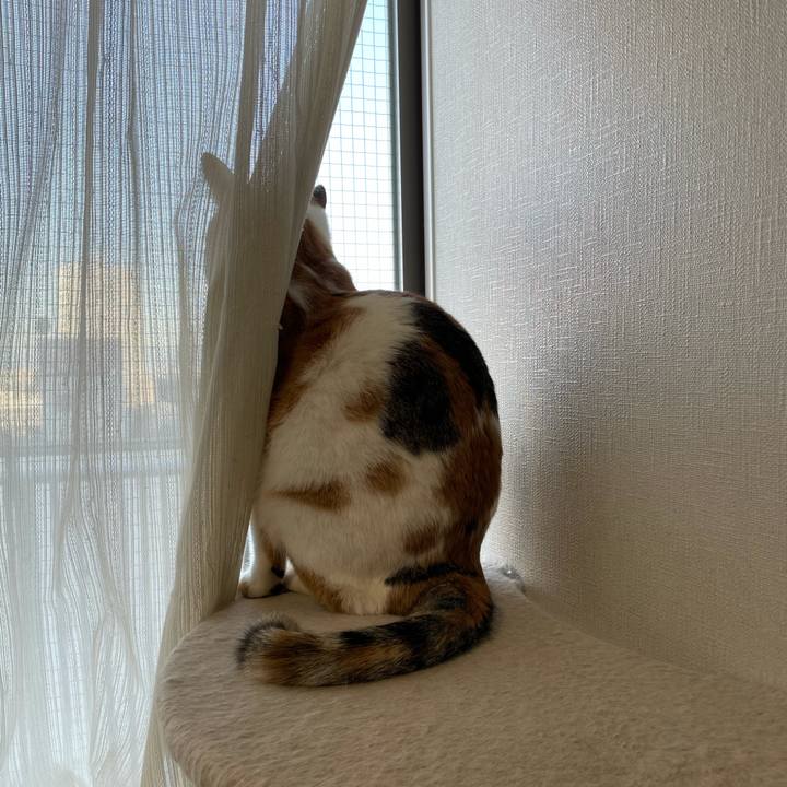 72f13b2b aad1 4f21 904a 12cd27343ee8 1607383831193