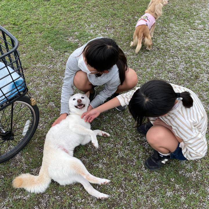 72f186f2 a526 470a a335 22934ba24fee 1651069439055