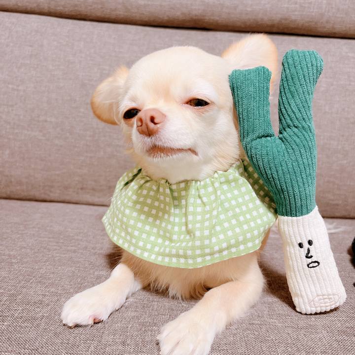 72f18705 12ef 4817 81a2 01201e30080a 1668326774073