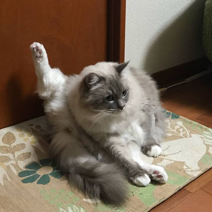 72f1899e 4b32 42f5 9b84 19d769fbce42 1512868451060