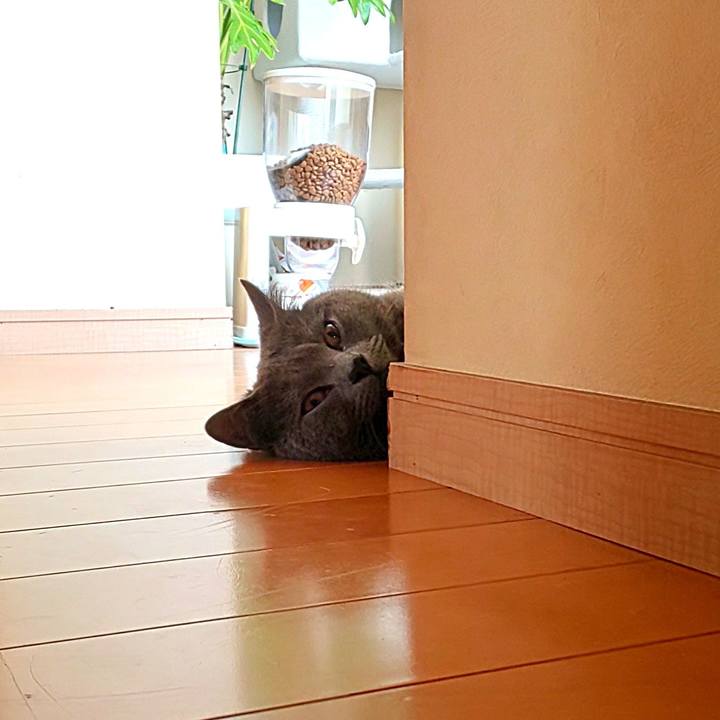 72f20193 512c 4c26 9daf 065ad4700404 1588400618962