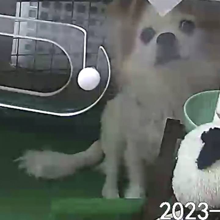 72f201ed 5588 4e1e ae02 f1f611760047 1683854878788