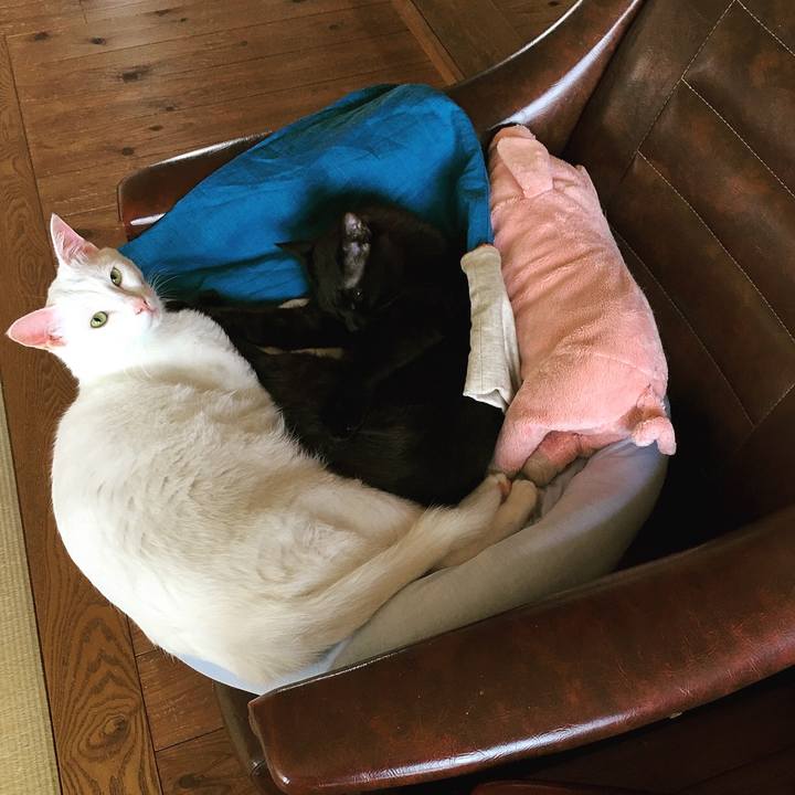 72f20f28 8436 43d3 b1b1 47493edd7a01 1560911437583