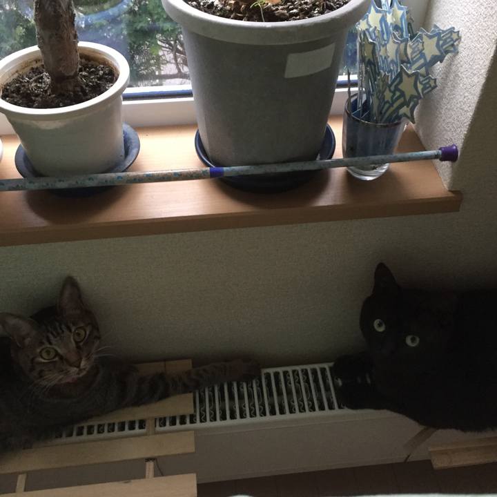 72f217a0 f455 4414 8733 2c0ddfbc9890 1511005614923