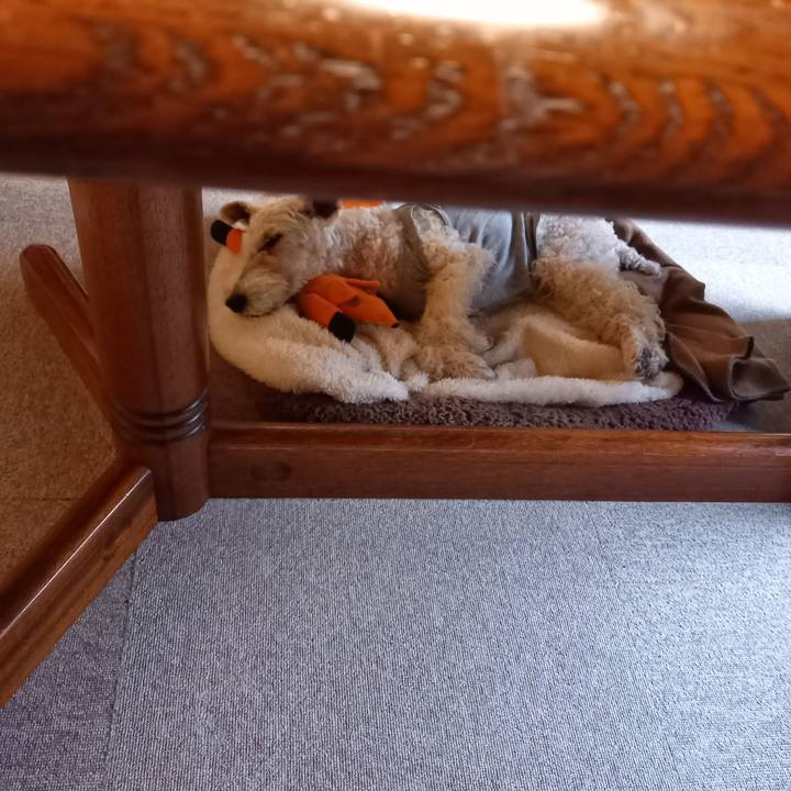 72f21ee9 a4dc 4753 8147 6d817fc7f262 1649199297348