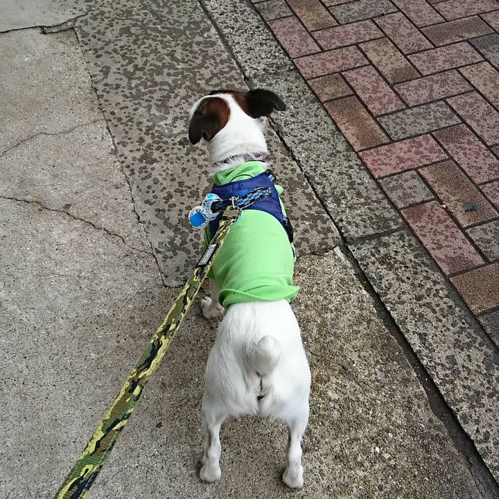 72f23943 17a1 44e2 8d58 dcacdd8ee399 1538284248347