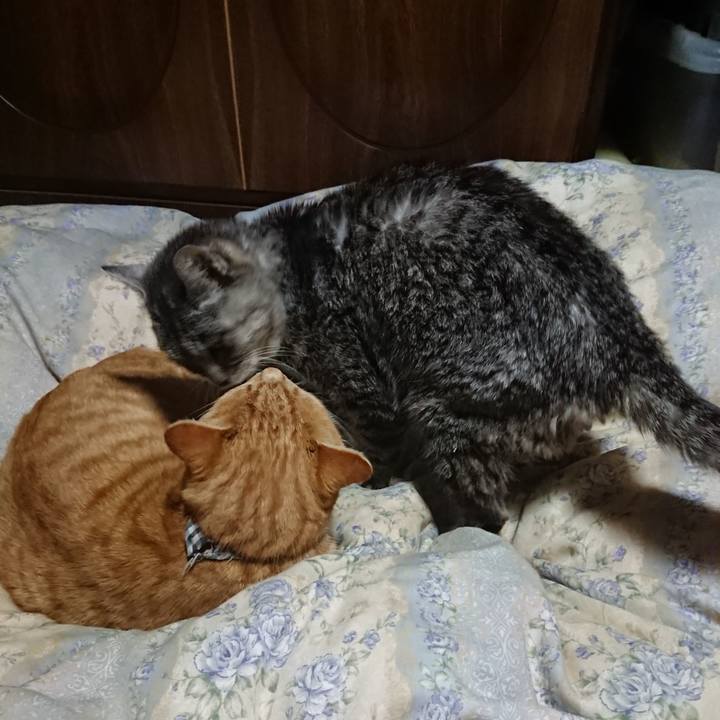 72f24306 a477 41f2 ab09 60c07391be6f 1575893066259