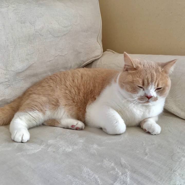 72f2729e 533a 45d8 a0a6 36b4f252d9c5 1513143400781