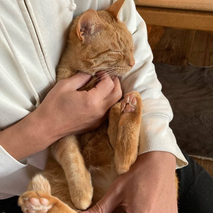 72f286d4 eca3 4d62 8e6d ebd85a4ad970 1674014118341