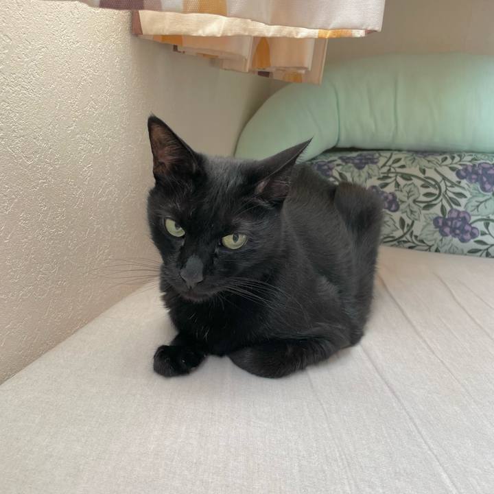 72f28d3b e7fd 42ea 9a0e 4be4e627526b 1692147855830