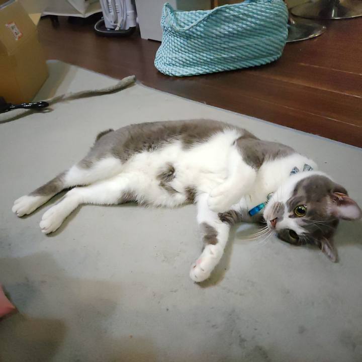 72f2a845 39b8 467d 87e7 c41fa91ebd73 1697374277811