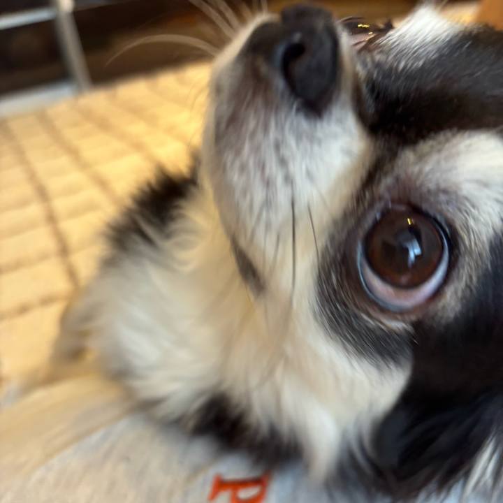 72f2c847 8861 42c6 9e10 b7292bb87b7d 1740241846677