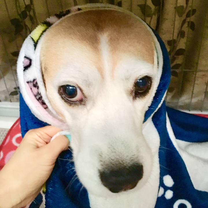 72f2e859 6df5 4c6e 98b6 d28327bb912e 1544409947799