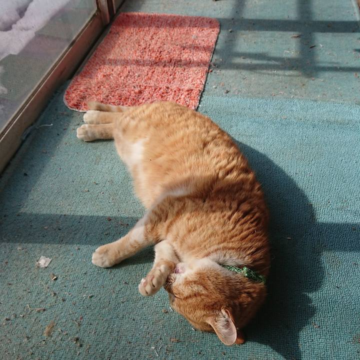 72f2fe13 bccf 40fa b881 c8f8765ce953 1581139610577