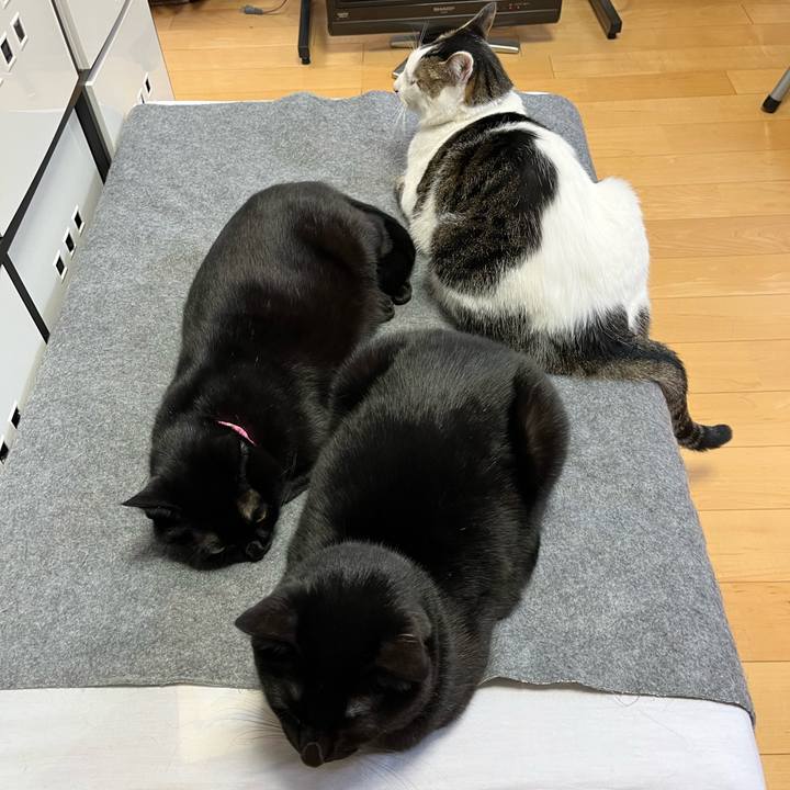 72f349be 5496 4552 865f f757152f38cb 1675311491223