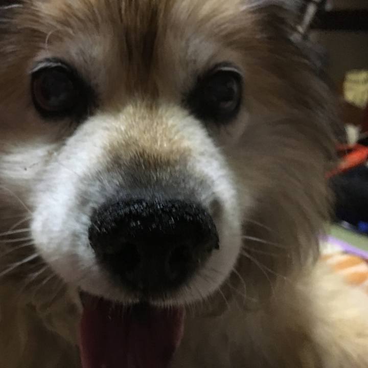 72f391a7 d970 47e1 98ee a5dc03f1b754 1606898203045