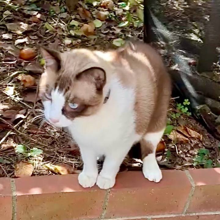 72f3b995 9ae4 4060 a791 bf89cfaa42d4 1759390177057