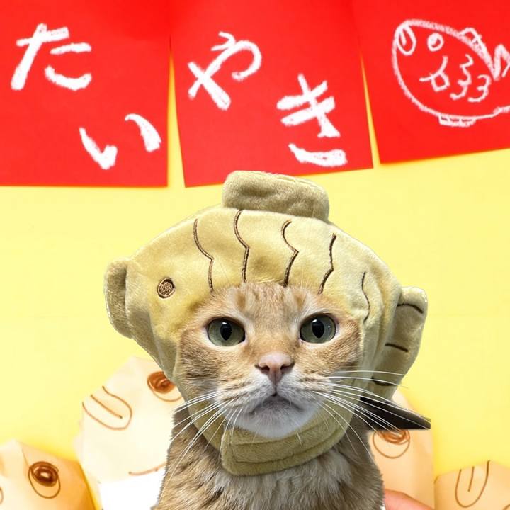 72f3cd11 6661 4f42 aaaf 4aebb82b7ca0 1693095980782