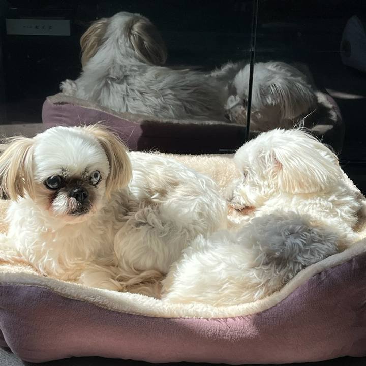 72f3e4f7 a047 46ce 8433 3584ee94e62b 1709959410242