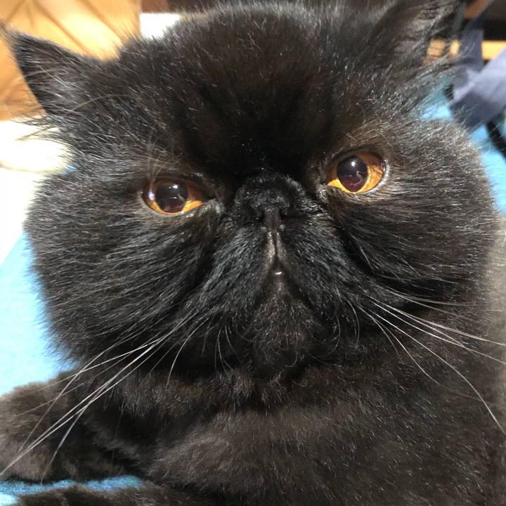 72f3eafa edce 47c7 ab67 d090441862d7 1597587229782