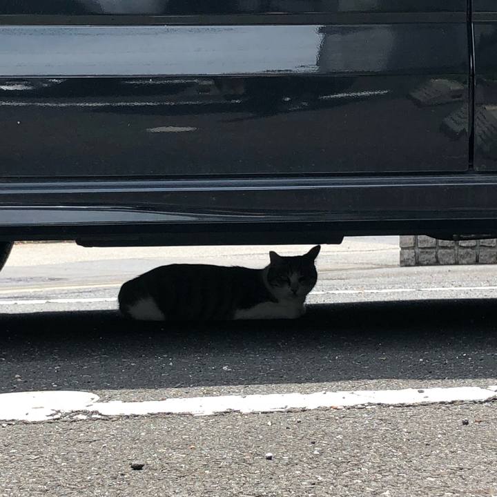 72f3f1b8 1d72 496a 837f bad4e59ca7e1 1531080977447