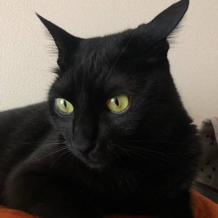 72f42acf 33ae 40e8 af18 c670e0dca1dd 1560901295739