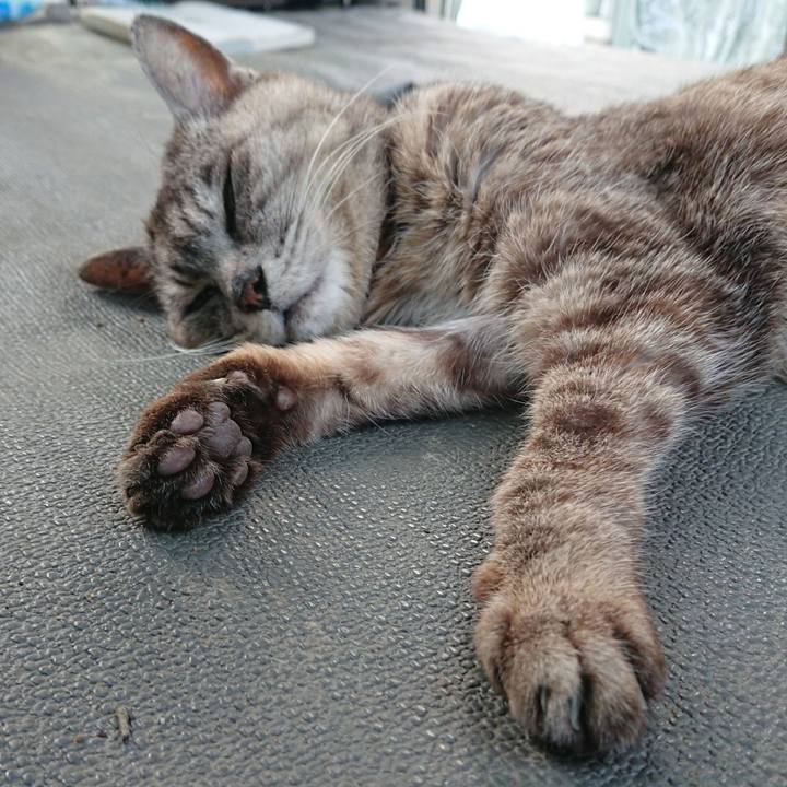 72f44713 0697 4d4c bbe8 825e8da7549e 1596703224799