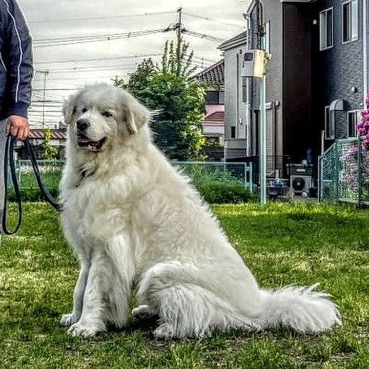 72f45600 d624 4c2a 93ab a74fcb18472d 1682686978195