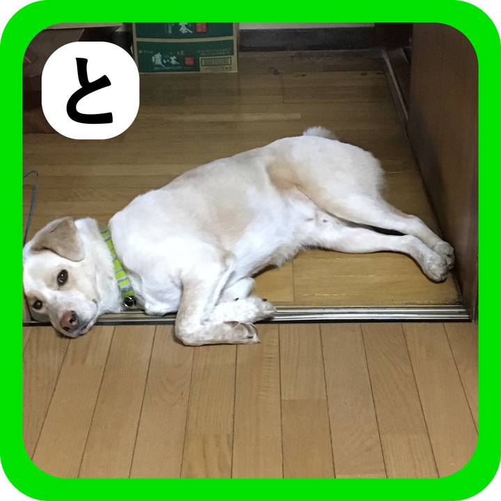 72f4574d b52a 4b8b a628 aa09253e149c 1514980167445