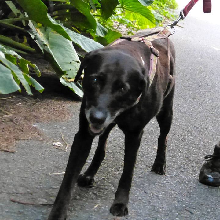 72f487f2 4f75 41ba 9d86 4c4c6e5f65c0 1535556412680