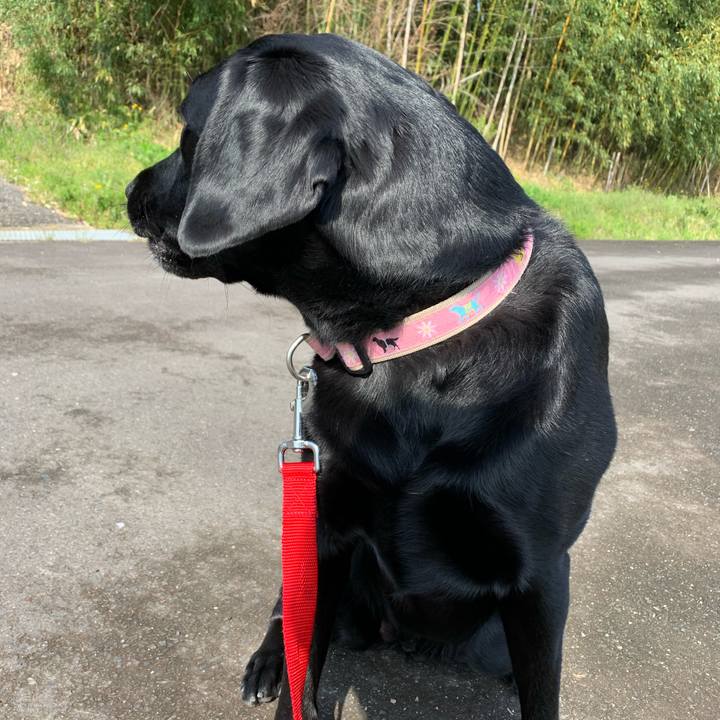 72f48e1e af28 4b7f bb61 89808fb3a553 1587367029803