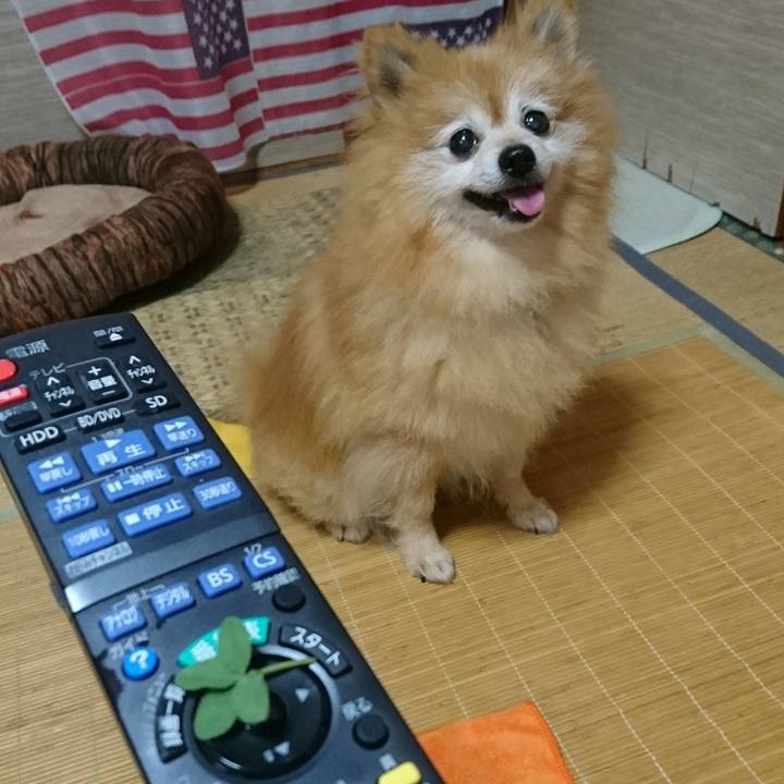 72f499c2 0cbe 440b ad96 5d562f8f6c52 1564352960169