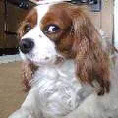 72f4abc5 7f4b 4678 9d7e 376a908aba36 1563290165796